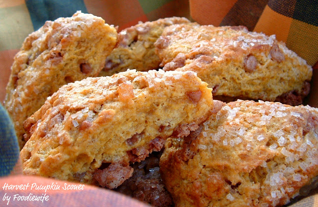 These scones scream fall! Pumpkin, ginger, fall spices like cinnamon and ginger pack the scone with flavor. Mini cinnamon chips add texture and your kitchen will smell so good!  I make these each fall, and enjoy them with a cup of hot coffee.