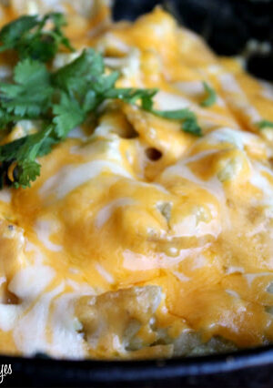 Tex Mex Migas is a breakfast or brunch egg dish designed to use up stale, old corn tortillas. Eggs are gently scrambled, seasoned with fresh cilantro and a pinch of cumin. Corn tortillas are fried in strips and stirred in with plenty of melted cheese. Served with either red or green salsa, you can jazz this up with chopped Mexican chorizo, chopped Poblanos or even refried beans. This recipe makes a hearty and flavorful breakfast.