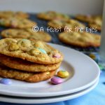 The Best Chewy Vanilla Pudding Chocolate Chip Cookies