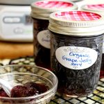Easiest Homemade Concord Grape Jelly– and Basic Canning tips