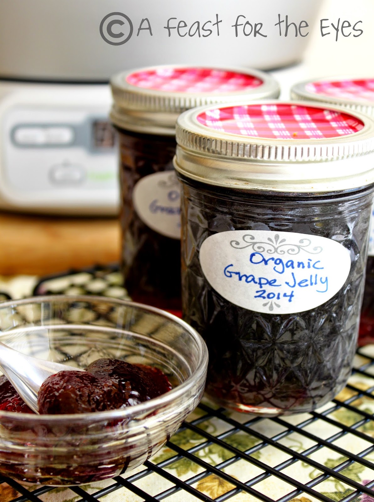 Homemade Grape Jelly Recipe - Made With Fresh Grapes or Juice