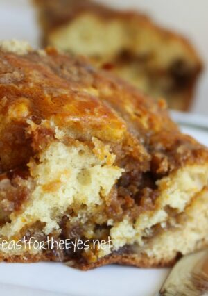 This Pumpkin Pecan Sour Cream Streusel Coffee Cake could be eaten pumpkin year-round, as far as I'm concerned. This Coffee Cake is super moist. The pumpkin filling is not over-the-top sweet, in a good way. The crunch of pecans adds a nice contrast to the cake. This recipe can easily be adapted as muffins.