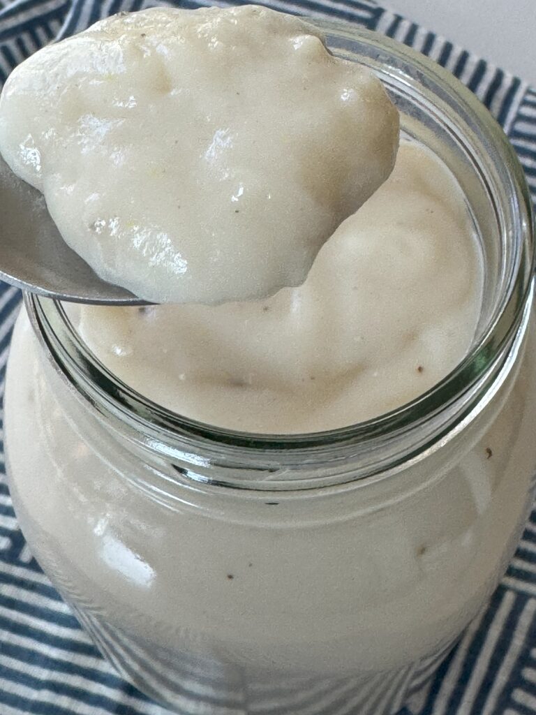 Homemade Cream of Chicken Soup Base