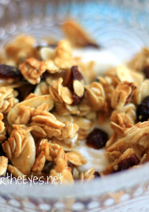 A bowl of granola with yogurt.