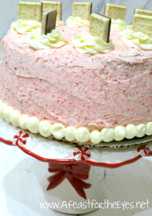 A tall chocolate cake with peppermint buttercream.