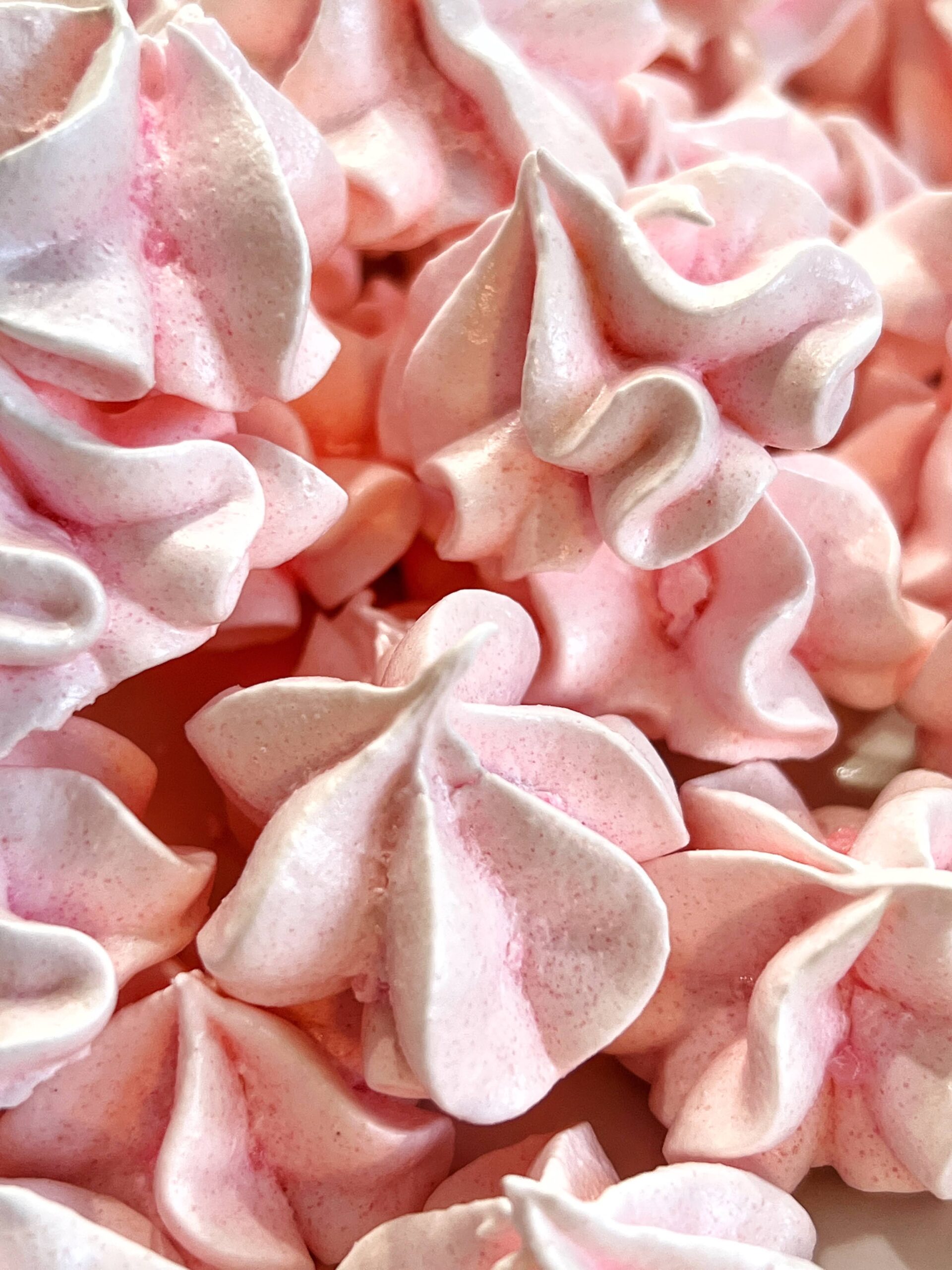How to Make Vanilla Meringue Cookies and Mini Pavlovas - A Feast For ...
