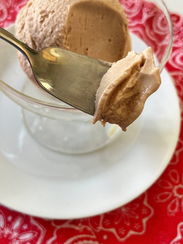 How to Make Hazelnut Gelato in the Ninja CREAMi Machine - and an honest  review - A Feast For The Eyes